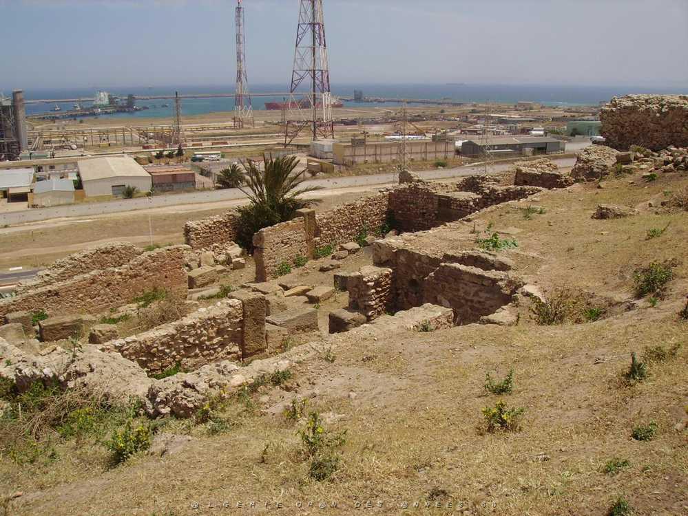 ARZEW 2008 9.jpg